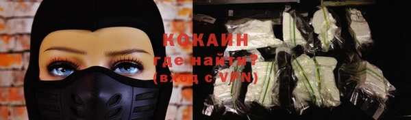 амф Верхний Тагил