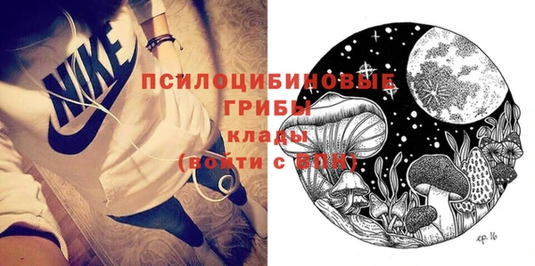 мдпв Володарск