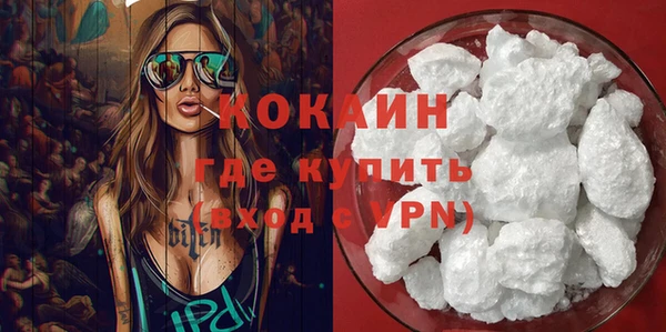 индика Верея