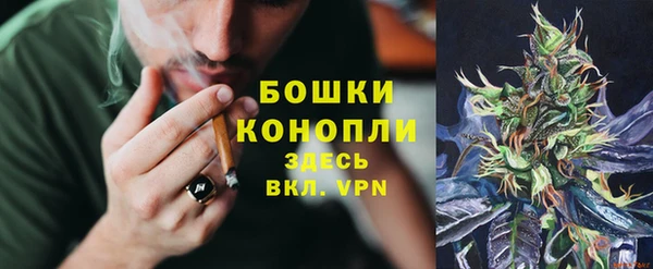 мдпв Володарск