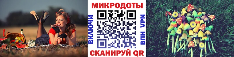 Псилоцибиновые грибы Cubensis  Купить где  Ивангород 